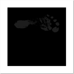 Footprint 2 Posters and Art